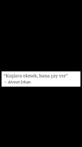 Kuslara Ekmek Bana Cay Ver Ahmet Erhan Siir Ask Kus