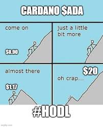 The winning meme will be shared on cardano community's twitter! Cardano Going For 1 Imgflip