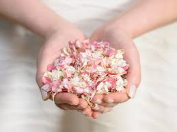 Check spelling or type a new query. When To Order Your Wedding Confetti Biodegradable Wedding Confetti Sustainable Eco Petal Confetti British Dried Flowers Ever Lasting Floral Arrangements