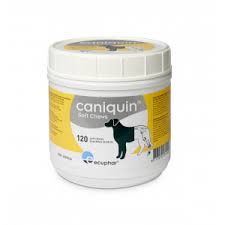 Trouvez Un Complement Alimentaire Pour Votre Chien Brekz Fr