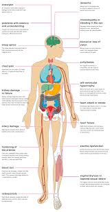 The function of blood vessels is to transport blood throughout the body. The Effects Of Hypertension On The Body