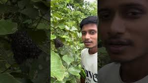 Rj patel honey men 🐝