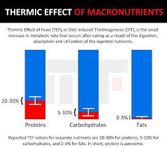 Maybe you would like to learn more about one of these? What Does Thermic Effect Of Food Mean Muscle Insider