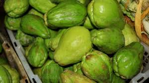 Image result for Sechium