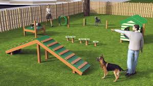 Curb your dog's destructive behavior by offering her an assortment of challenging mental exercises, performed in your own home or in the backyard. Dog Course Kits For Sale Adventure Playground Systems