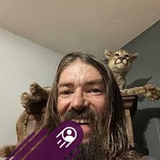 What should I leave out for bees to drink water safely?