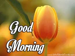 Download good morning images gif animated apk 4.1 for android. Good Morning Gif Icegif