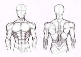 Back muscles drawing reference anime. Back Muscles Drawing Reference Anime How To Draw Muscles Any Body Type With 10 Art Tips Youtube Art Anatomy Book About Men S Muscles Assunta Magallan
