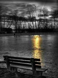 Black And White With Color Photography Pin By Kitty Hunter On Black All Colors Color Splash Photo Color Splash Photography Color Splash Art