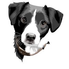 Digital Art File Of Your Pet Animal Art Pet Portraits Dog Art