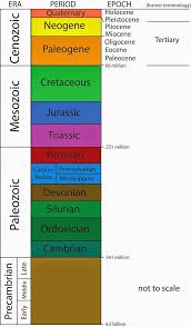 History Of Life On Earth Lesson 0435 Tqa Explorer