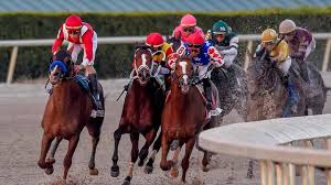 For those who are new to horse racing handicapping, what you'll find for each race is a line of four numbers informing you which number of horses for that race we have picked to come first, i.e. Gulfstream Park Horse Racing Picks For Saturday 1 23 21 Opera News