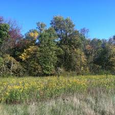 Check spelling or type a new query. Glacier Ridge Metro Park Disc Golf Course 9801 Hyland Croy Rd