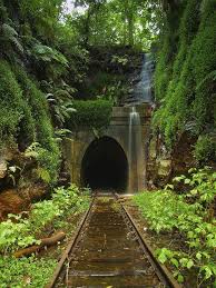 Abandoned Train Tunnel Abandoned Places Abandoned Train Landscape