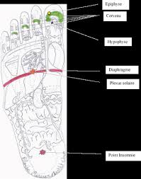 3 points d'acupression à connaître. Traitement De L Insomnie Et Problemes De Mauvais Sommeil En Reflexologie Plantaire