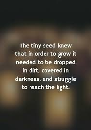 There is the surface level similarity of the protagonist's name having alliteration like peter parker or bruce banner. ðˆð§ð¬ð©ð¢ð«ðšð­ð¢ð¨ð§ðšð¥ ðð®ð¨ð­ðžð¬ On Twitter The Tiny Seed Knew That In Order To Grow It Needed To Be Dropped In Dirt Covered In Darkness And Struggle To Reach The Light Quote Mondaymotivation Https T Co Zrhvdx1byf