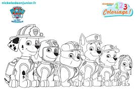 Anniversaire Pat Patrouille Aude Jehanne S Scrap Dessin Pat Patrouille Coloriage Pat Patrouille Pat Patrouille A Colorier