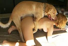 We did not find results for: Novinha Perdendo A Virgindade Pra Um Cachorro Xbrasilporno Videos Porno Brasil Porno Brasileiro