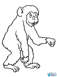 Pin Di Gorilla Coloring Pages