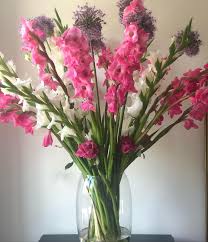 Check spelling or type a new query. Miss Daisy Fresh Dutch Flowers Bouquet Subscriptions And Workshops Posts Facebook