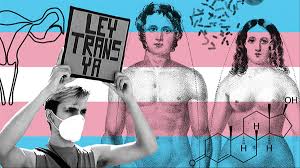 En parte por su esta clasificación de corrientes de feminismo debe ser entendida como una simplificación, ya que. Arrecia La Division En El Feminismo En Torno A Las Personas Trans