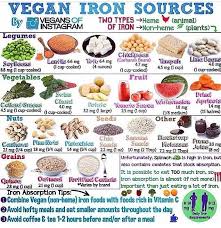 You can enjoy a variety of foods from either plant or animal sources to get the dietary iron you need. Iron Rich Food Vegan Iron Sources Vegan Iron Going Vegan