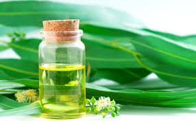 Antara contoh ubat pencegah sedutan steroid adalah: 10 Obat Asma Tradisional Dari Bahan Alami Terbaik