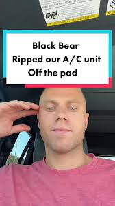 Well this is a first for one of our Airbnbs... #gatlinburg  #gatlinburgtennessee #bear #blackbear #airbnb