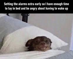 Morning Funny Memes 37 Pics Funny Morning Memes Really Funny Memes Funny Memes