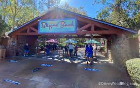 Pros And Cons Of Disney World S New Annual Pass System The Disney Food Blog