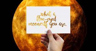 Why does a roast about a person? 30 Roast List To Insult Your Best Friends Gud Story