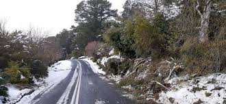 Jun 10, 2021 · orange appears to have copped up to 15cm of snow, while half a metre was dumped on the nsw slopes. Trees Down In Snow Causes Safety Concerns Orange City Council