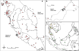 And provide world class services by hjs maritime sdn bhd was incorporated on 5th january 1999 to address the growing demand for high quality support services in the malaysian maritime industry. Evolutionary Pattern Of Macaca Fascicularis In Southeast Asia Inferred Using Y Chromosomal Gene Springerlink