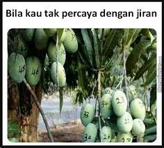 Soursop leaves 红毛榴莲叶 daun durian belanda these pictures of this page are about:mesin cantas dahan pokok. Boleh Ke Korang Tebang Dahan Pokok Yang Masuk Kawasan Asklegal My