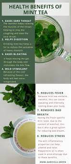 The 11 Biggest Health Benefits Of Drinking Mint Tea Gabriela Green Mint Tea Benefits Coconut Health Benefits Health Benefits