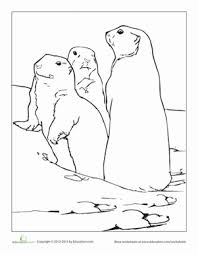 National trails california national historic trail po box 728 santa fe, nm 87504 Drawing Prairie Dog Drawing Easy Step By Step