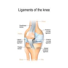 The severity of these symptoms depends on which ligament has been torn. Knee Sprain Harvard Health