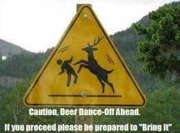 Oh Deer God Memes