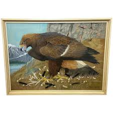 Ornithology Mid 20th Century Watercolour Painti... | Antikeo