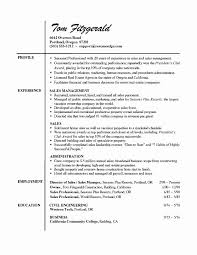 You can use this sample template to highlight your education, your best skills, and your previous work experience. Entry Level Real Estate Agent Resume Elegant Real Estate Resume Real Estate Agent Job Resume Examples Job Resume Examples