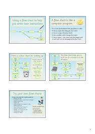 Animal Flow Chart Ks2 Diagram Nationalphlebotomycollege