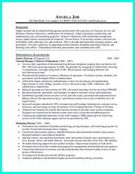 it customer service resume