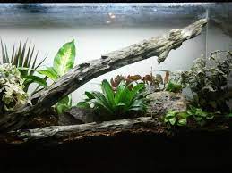 55 Gallon Pdf Vivarium Build Planted Aquarium Vivarium 55 Gallon