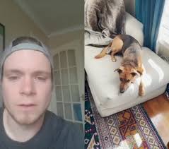 #duet with @mydogtano one of my FAVS #dogtraining #husky #dogtrainingadvice  #dogtips #doghelp