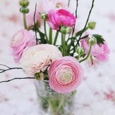 Habt Ein Tolles Wochenende Ich Bin Diese Woche Im Bro Blumen Pflanzen Blumen Pfingstrosen Farben