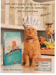 2009 9 Lives Cat Food Cute Cat Chef Morris Magazine Print Advertisement Page Pet Advertising Cats Cat Food
