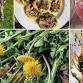Make Your Own Wild Kimchi event image