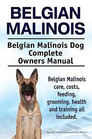 The belgian malinois will do okay in an apartment if it is sufficiently exercised. Belgian Malinois Belgian Malinois Dog Complete Owners Manual Belgian Malinois Care Costs Feeding Grooming Health And Training All Included English Edition Ebook Hoppendale George Moore Asia Amazon De Kindle Shop