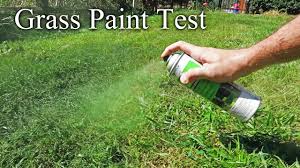 Tamberi and barshim had the same number of jumps and soared over a height of 2.37 meters. Guy Tests That Grass Spray Paint That Claims To Turn Your Dead Grass Green Again Digg