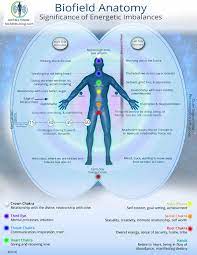 Connect, collaborate and discover scientific publications, jobs and conferences. Electrical Architecture Of The Human Body Alan Tatourian